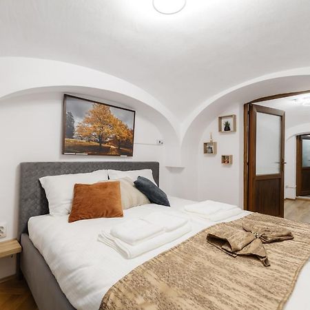 Downtown Cio Apartment Sibiu Exterior photo