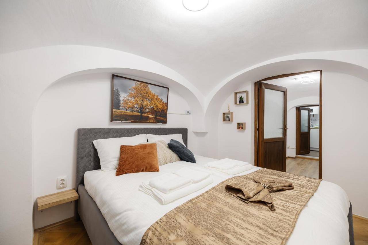 Downtown Cio Apartment Sibiu Exterior photo